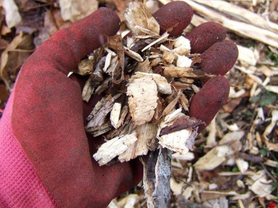 wood chips